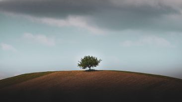 Move from the Mental How into the Spiritual Now