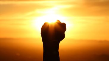 Stop Fighting with What Life Brings You