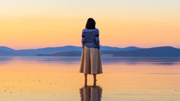 Reconnect With the Purpose of Life