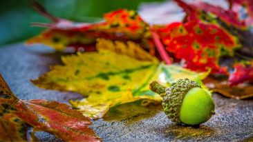 Within You is the Seed of the Divine