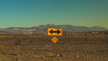 Establishing a New Relationship with Life