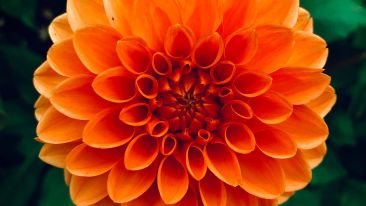 Move from the Mental How into the Spiritual Now