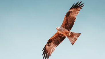 The Power and Promise of Divine Reconciliation