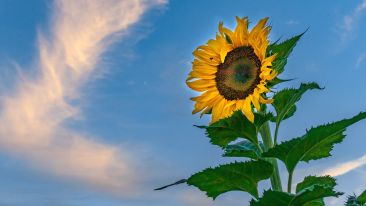 How Self-Discovery Changes Your Relationships