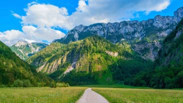 Choose the Path that Leads to Revelation