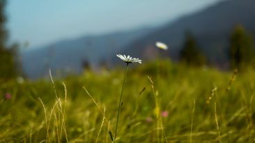 The Fear of Emptiness is an Empty Power