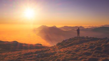 Share in the Light of Timeless Wisdom