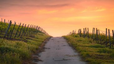 A Higher Lesson in Letting Go and Letting God