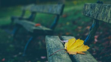 Lingering Pain and Trauma