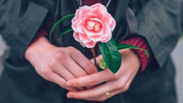 How to Want What Life Wants (No Matter What It Gives You!)