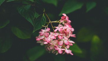 The Secret of Being at Peace with Yourself