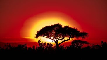 Transforming Suffering is the Triumph of the Soul