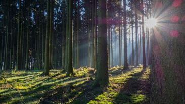 This False Conclusion Ensures There Can Be No End to Our Conflict with Life