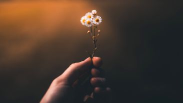 New Answers That End Old Fears, Worries, and the Feeling of Being Alone