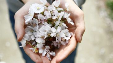 The First Step to Realizing the Unimaginable Fulness of Your True Self