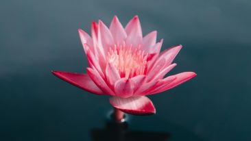 The Power to Realize Perfect Peace