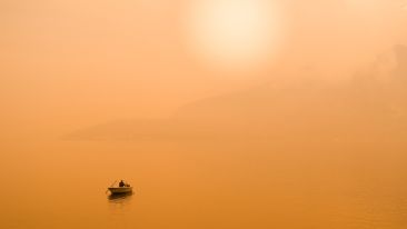 Practice the Purpose of Each Moment and Find the Peace You Seek
