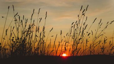 Make Every Experience Count Toward Enlightenment