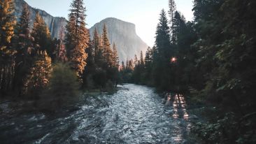 How to Cross Over the River of Dark, Painful Dreams