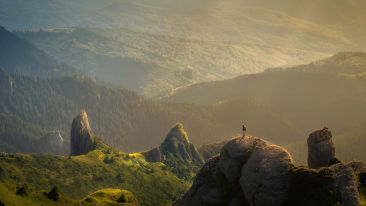 Leave the Teaching Moment Alone