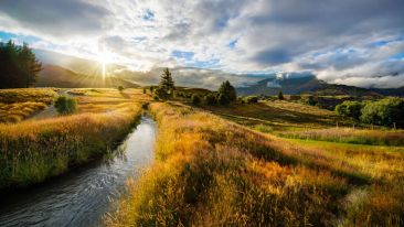 Practice Living in the Presence Moment