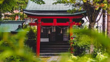 Enter the Unseen Temple of the Indwelling Divine