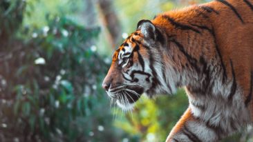 Transform Any Weakness into True Spiritual Strength