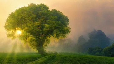 Enlightened Living: Real Life Lessons in Letting Go