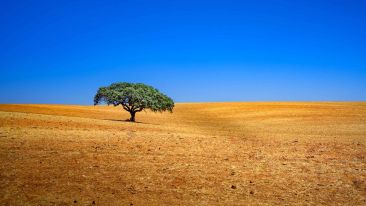 Online Study Group Meeting for Monday (7/10/2023)