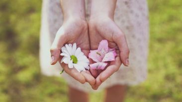 The Invisible Gift of Life that Never Stops Giving