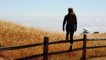 Rise Above the Painful Experience of Any Unwanted Moment