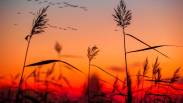 Go Beyond Painful Limitation to Realize Fearless Being