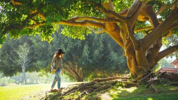 Strike at the Root of Negativity