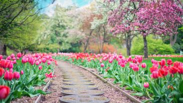 The Karma-Free Path to Being Perfectly Complete