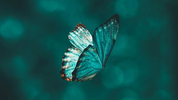 Go Beyond Painful Limitation to Realize Fearless Being