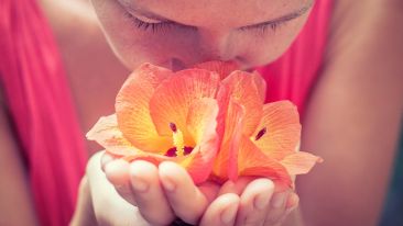 Transform Negative Reactions into Self-Healing Realizations