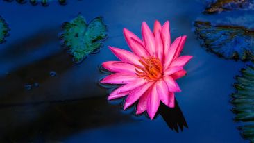 Move from the Mental How into the Spiritual Now