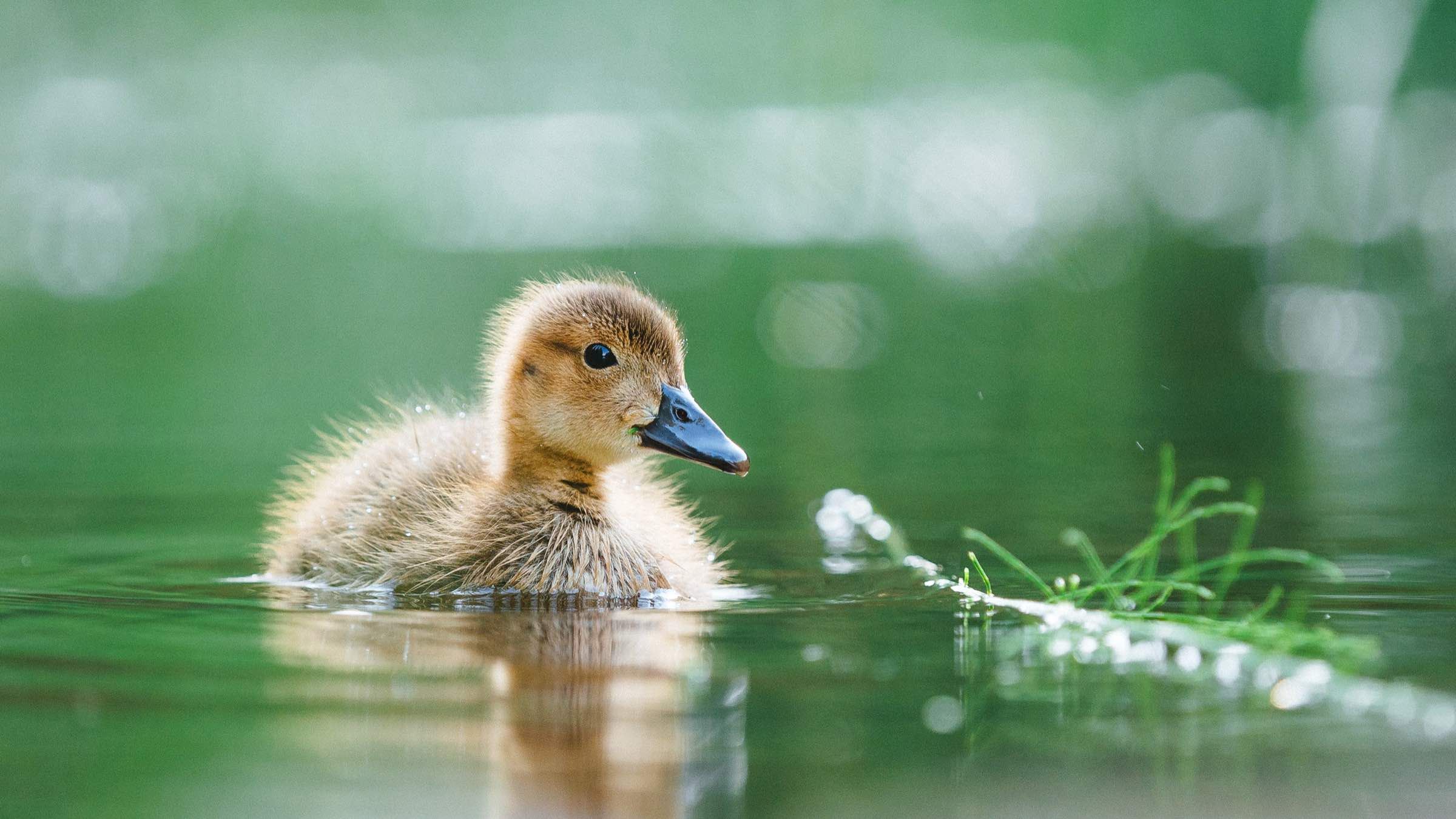 Four Healing Insights to Rise Above Painful Self-Limitation