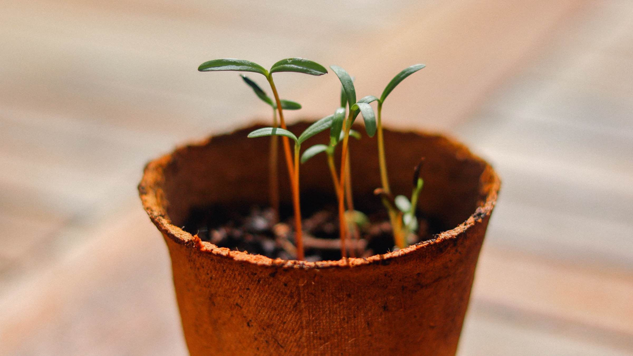 How to Outgrow Any Old Fear or Sorrow