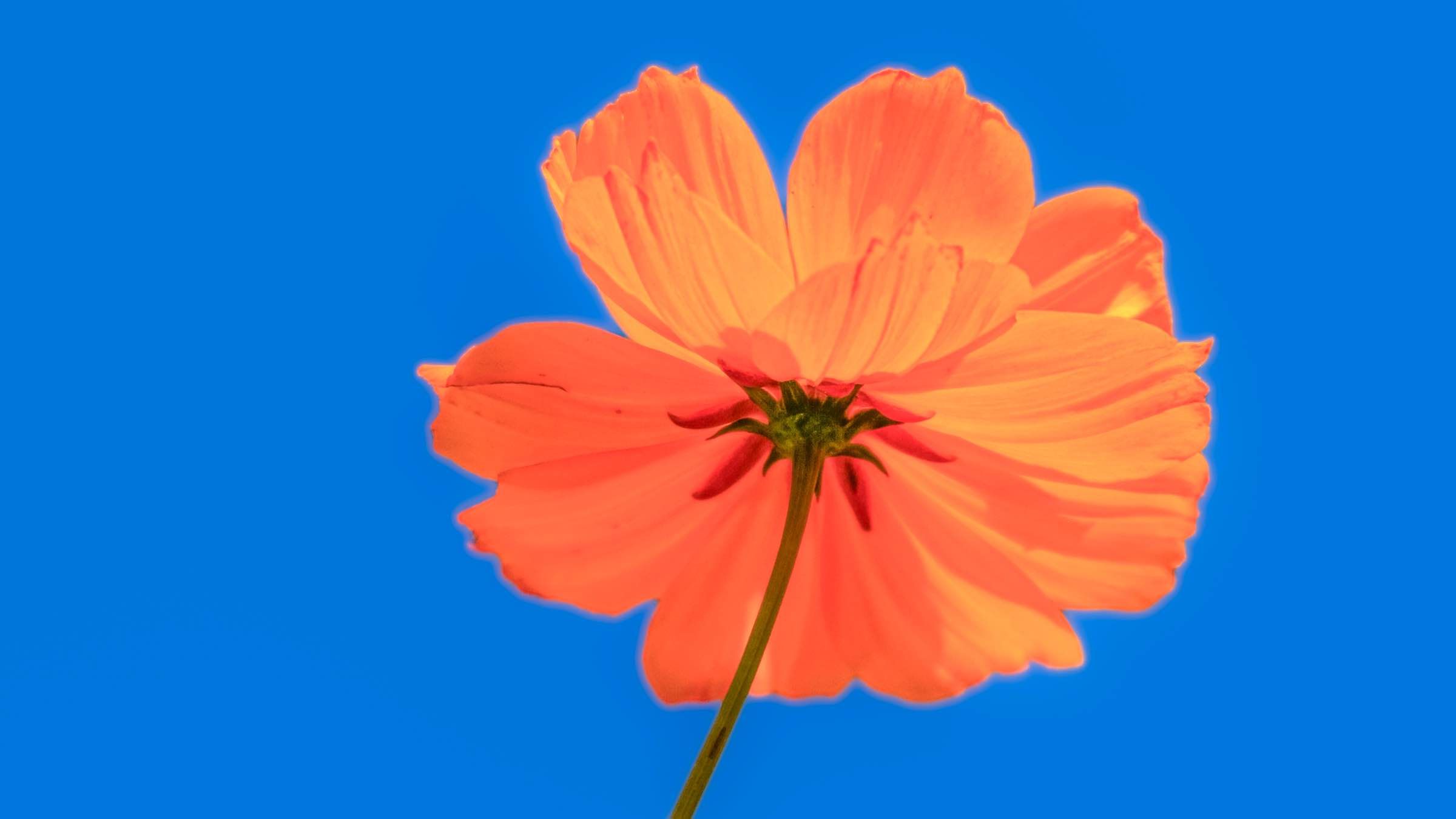 A Simple Practice Guaranteed to Strengthen the Willing Soul