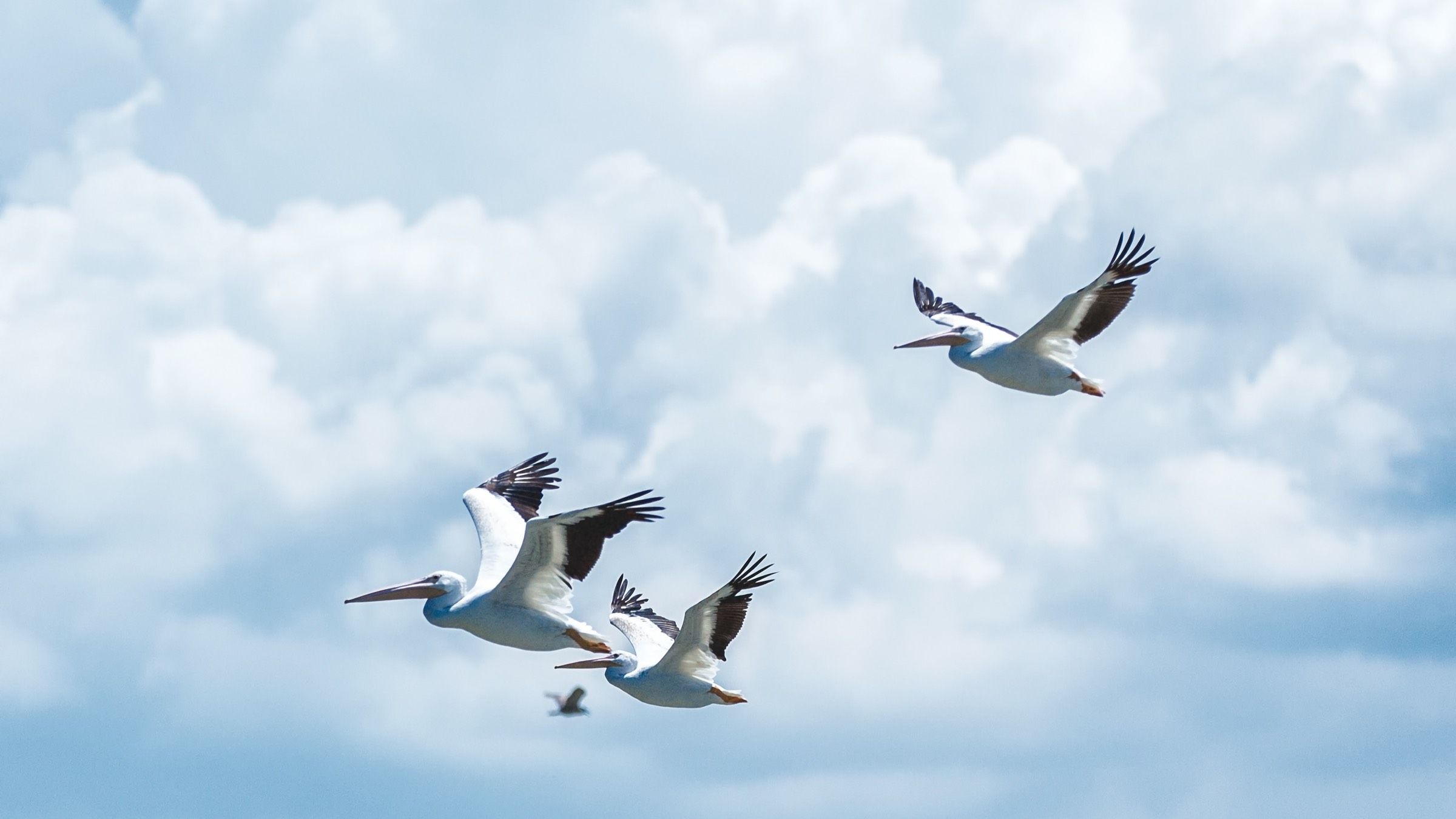 Mind Your Thoughts and Be Free