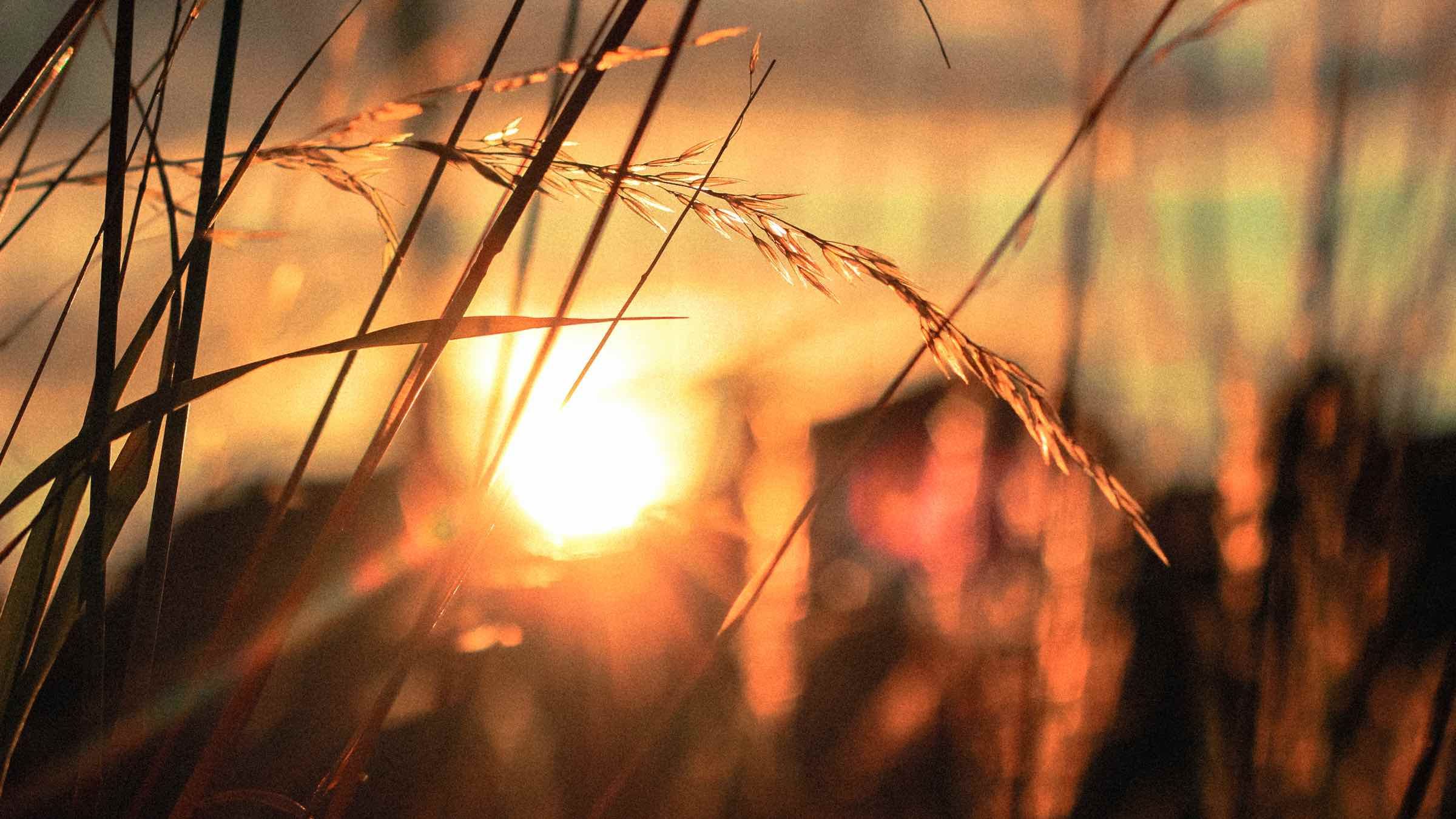 Student Q&A with Guy on 