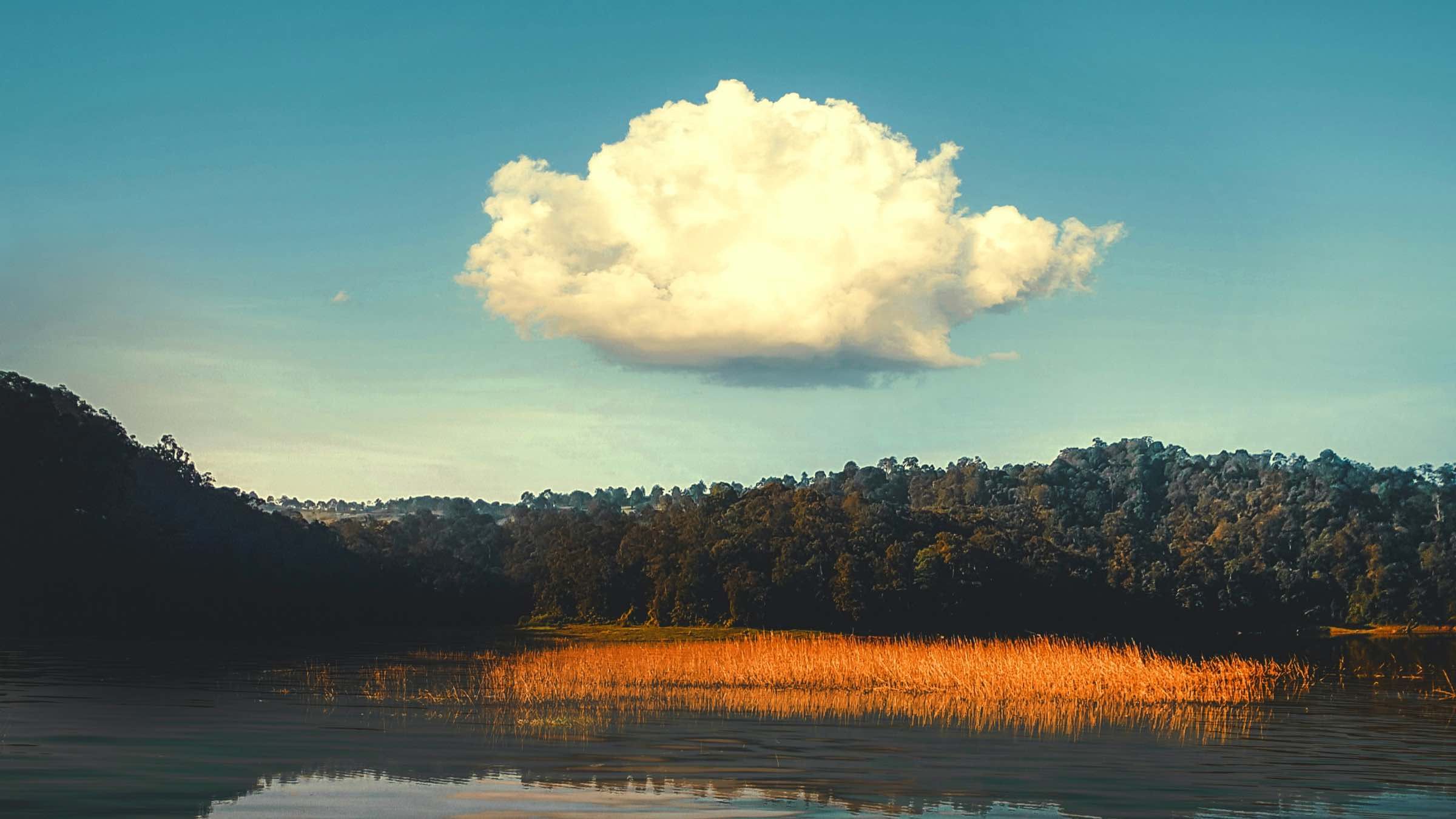 Student Q&A with Guy on 