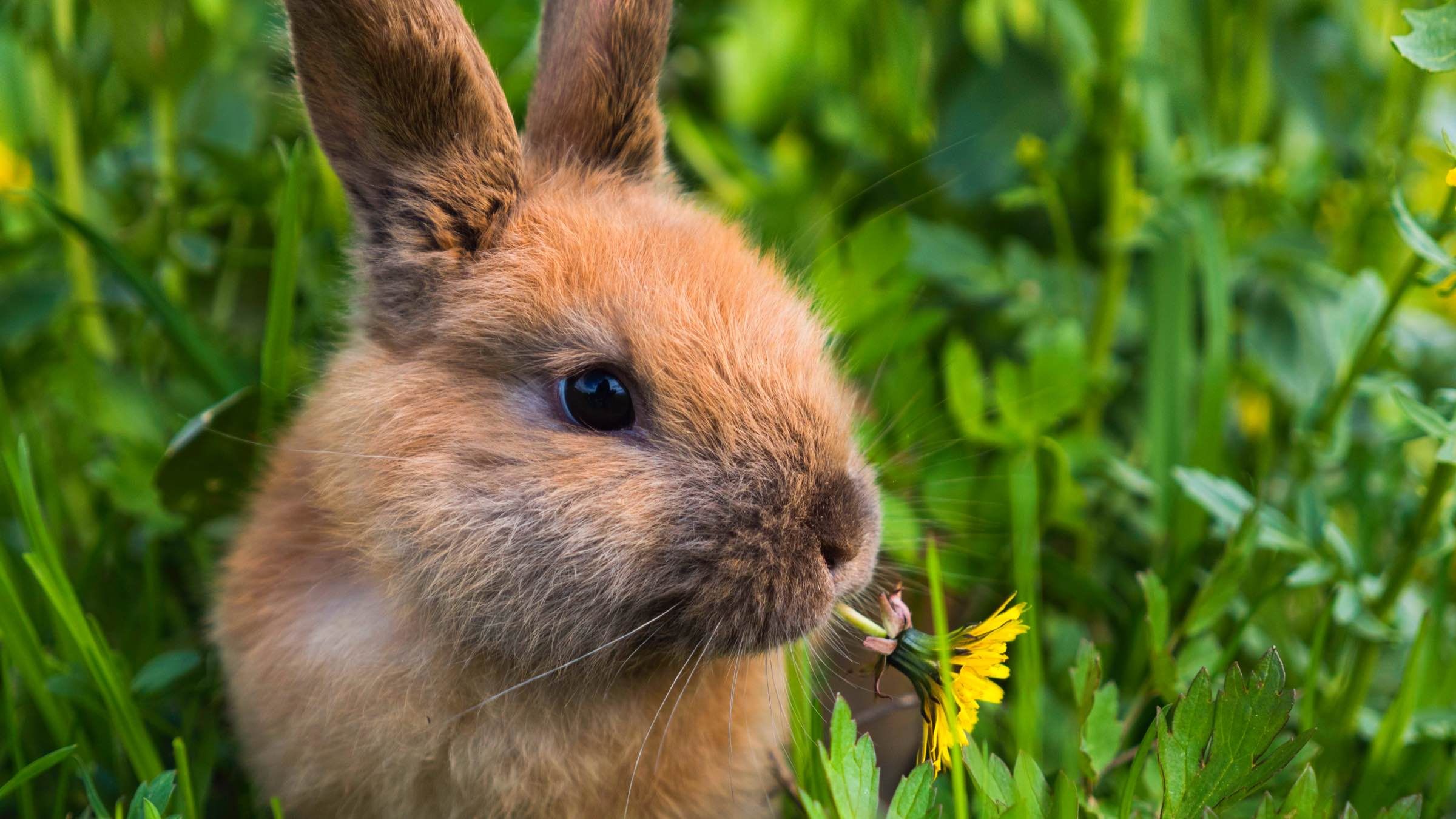 Student Q&A with Guy on 