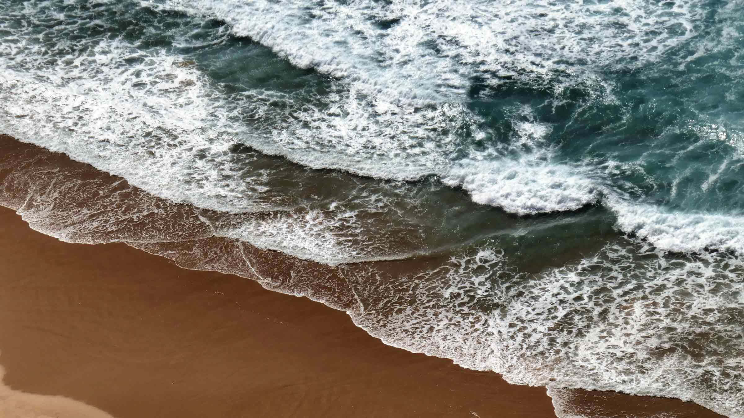 Keeping the Company of the Divine