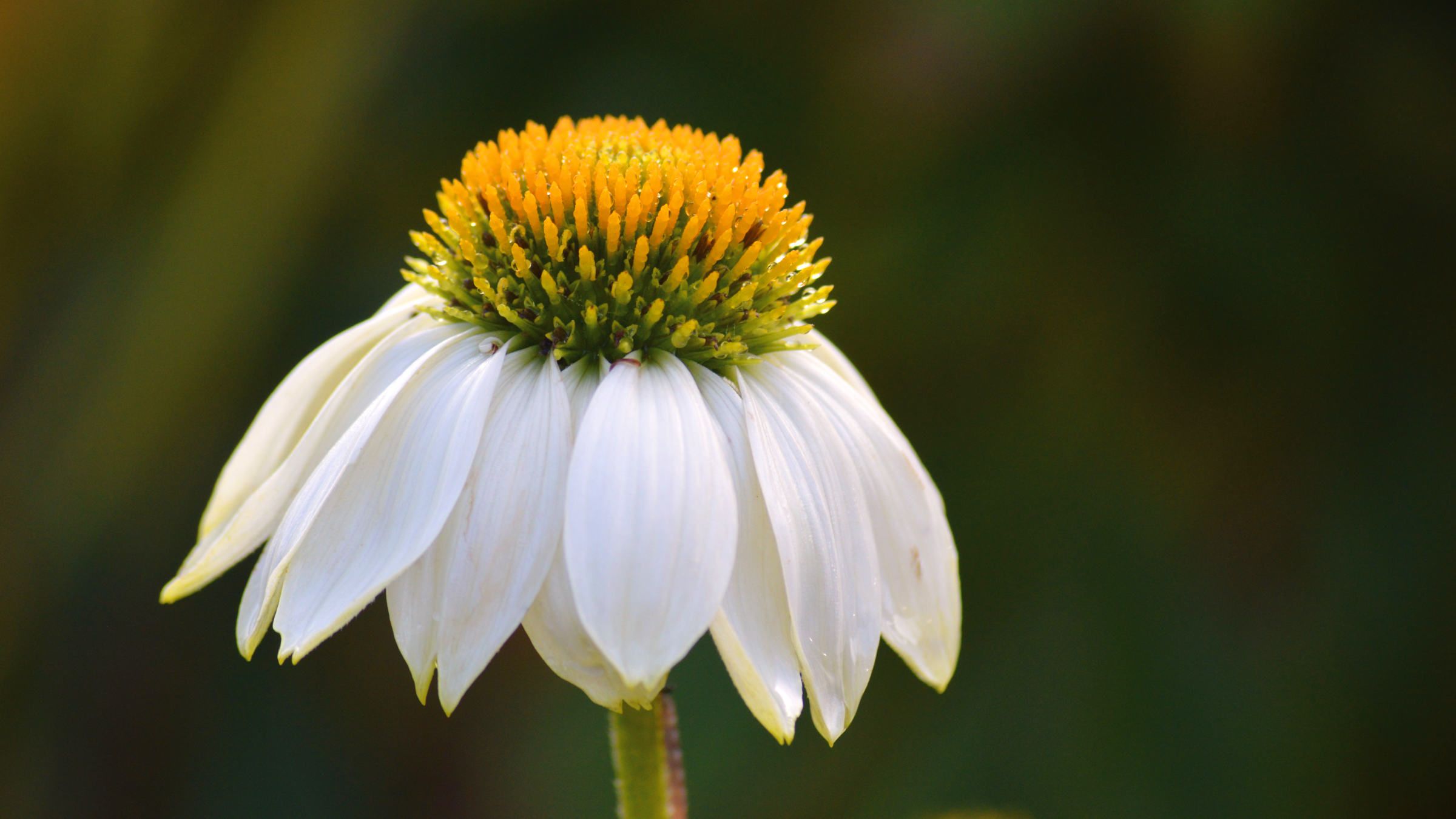 How to Realize the True Meaning of Every Moment of Life