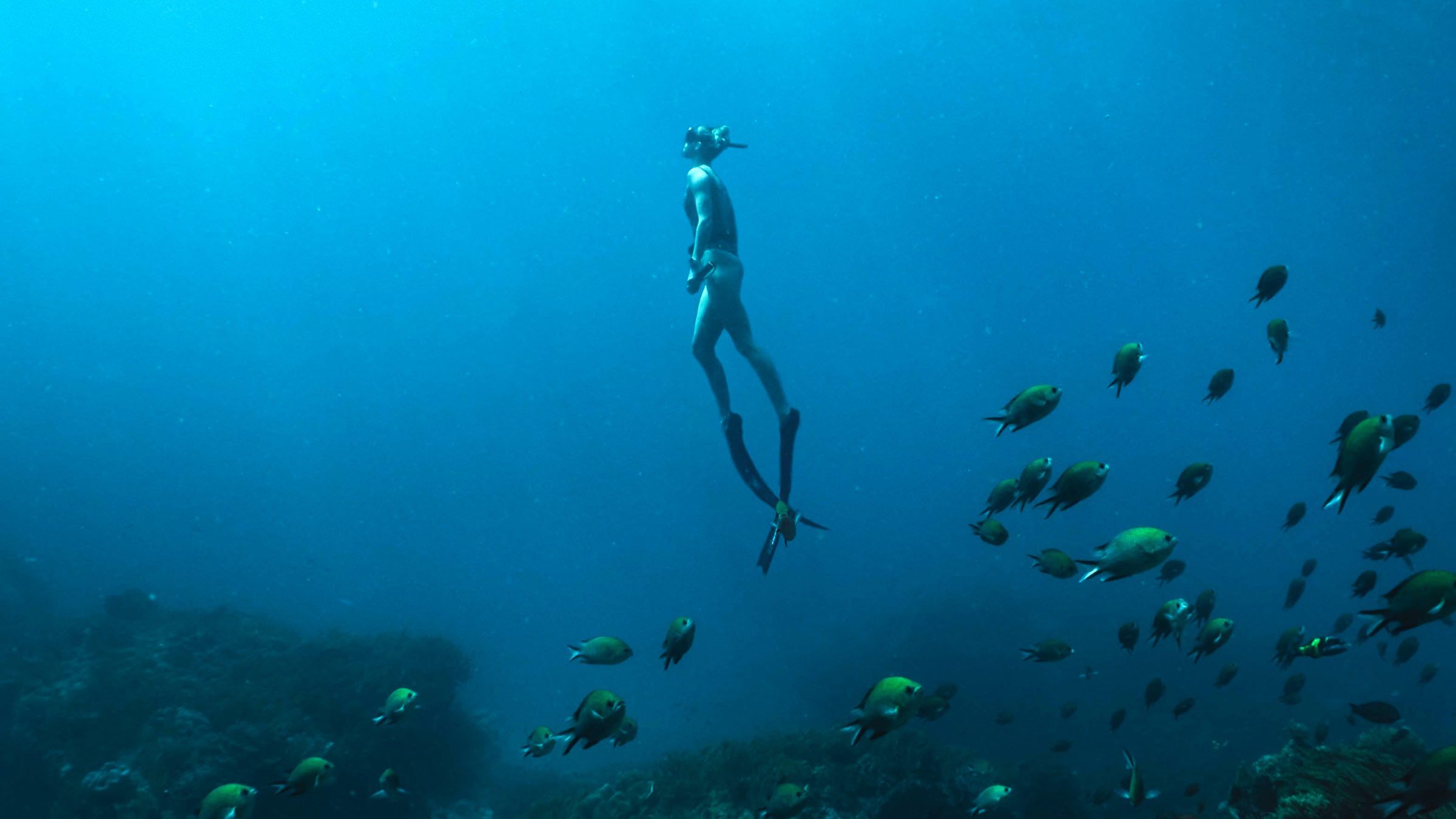 Awaken to a Higher Order of Will and Let it Set You Free