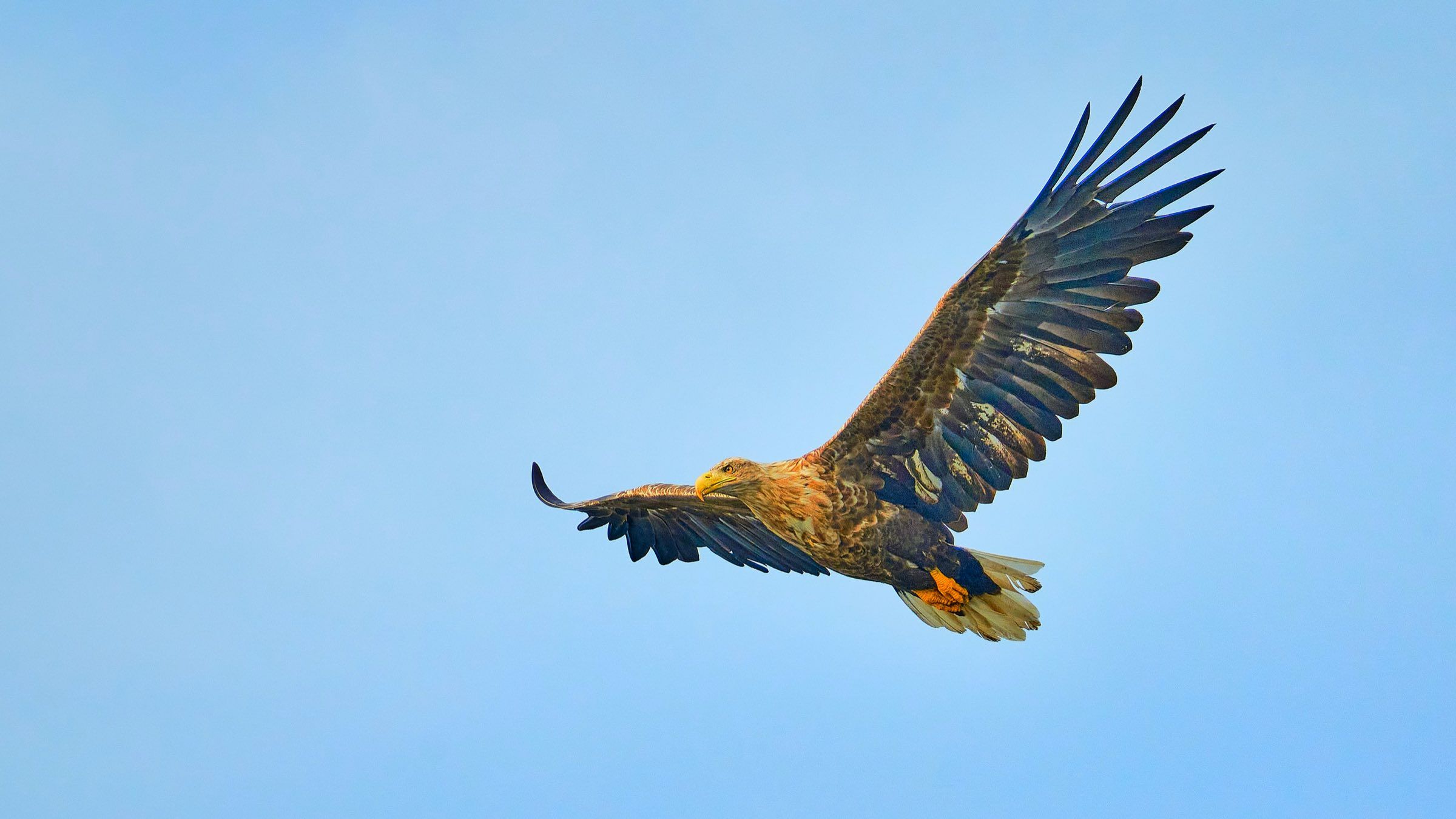 Find Your Way to a New Level of Being in Quiet Seeing