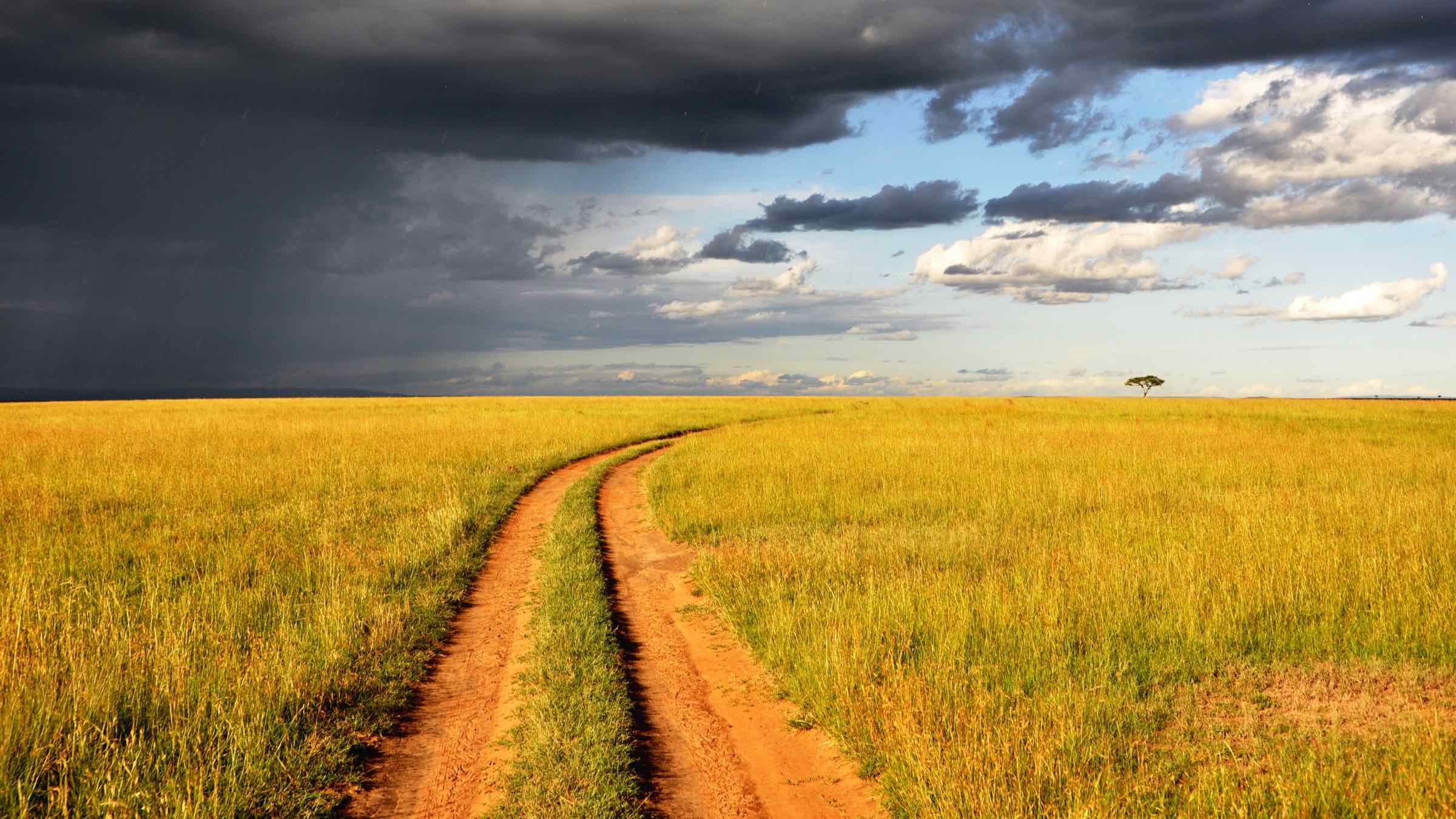 Find the Field of Freedom Somewhere Out Beyond Fear