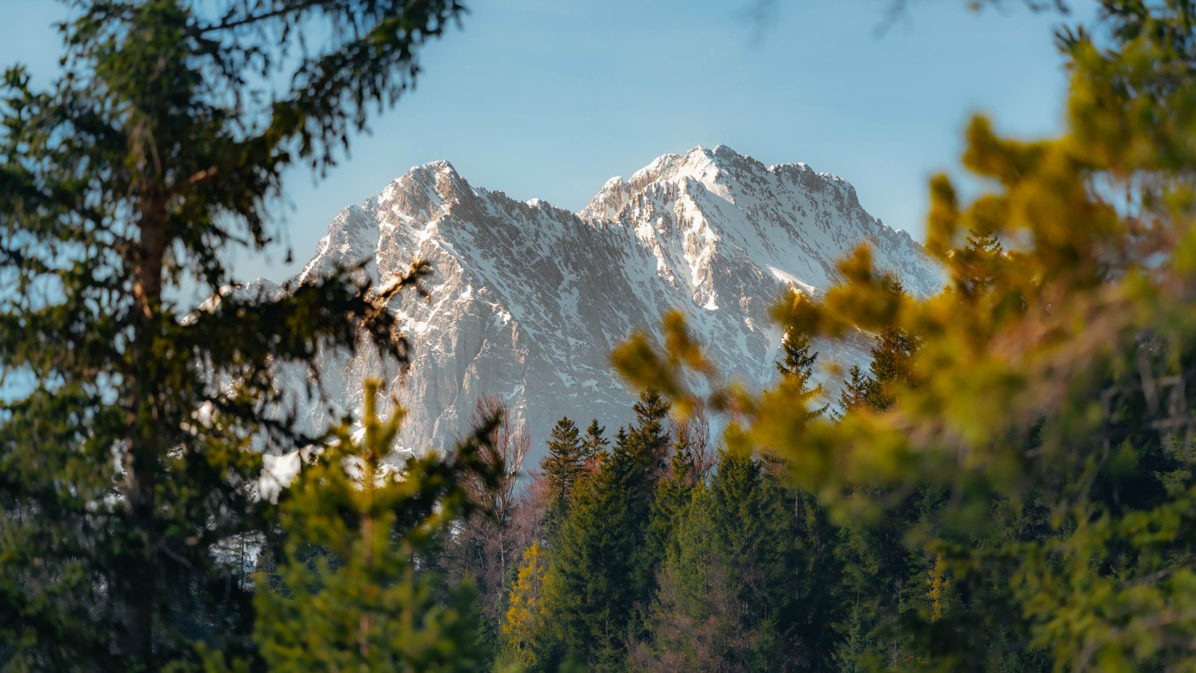 Student Q&A with Guy on 